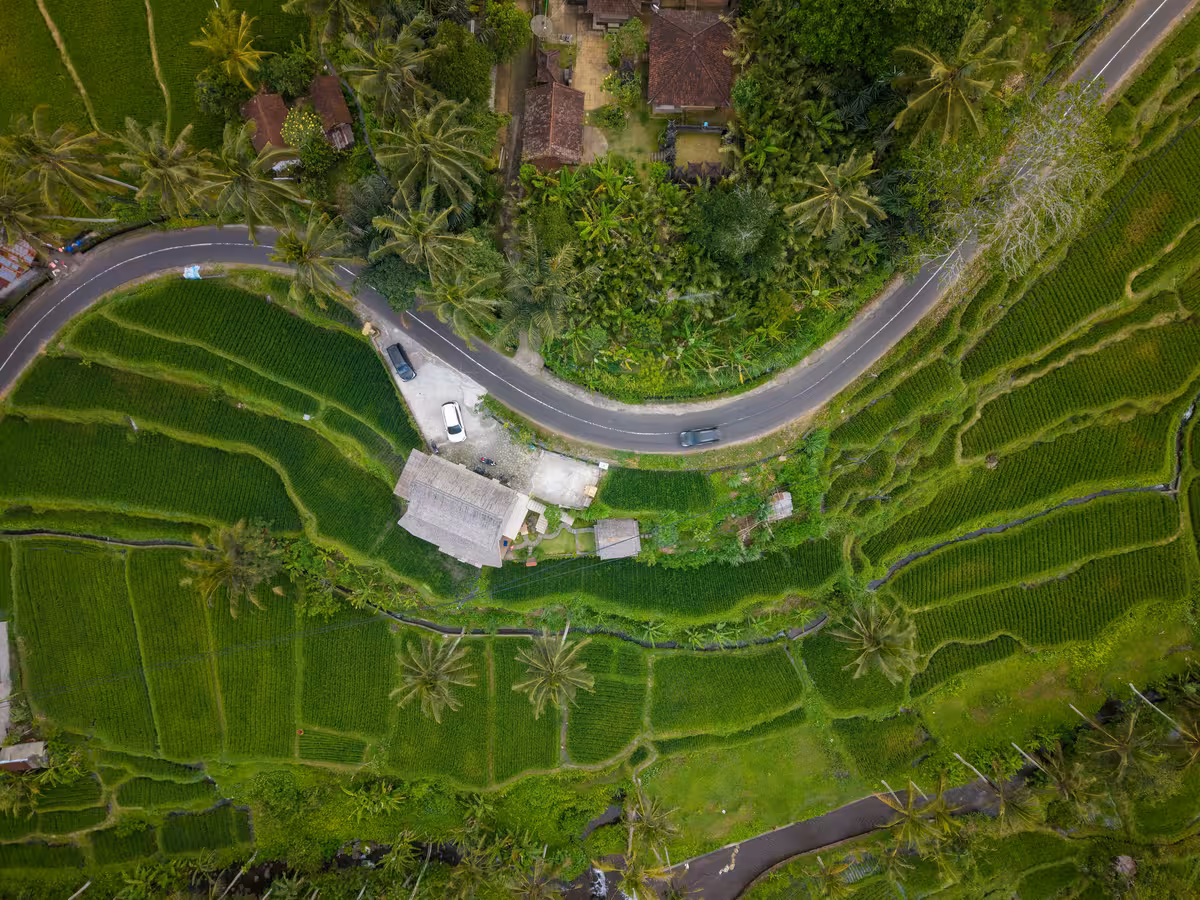 Ubud vs Uluwatu — Which Tour Should You Pick First?