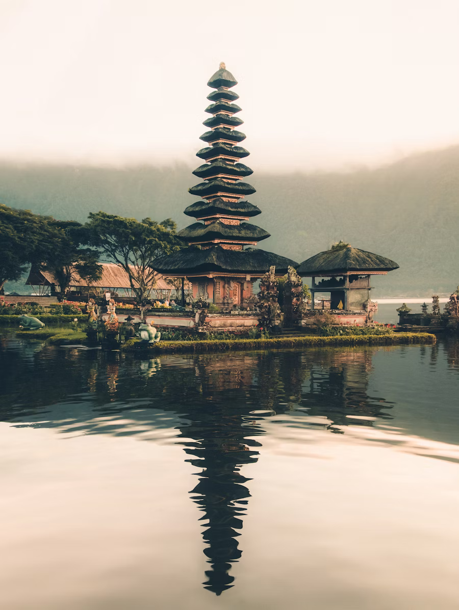 Bali rice terraces